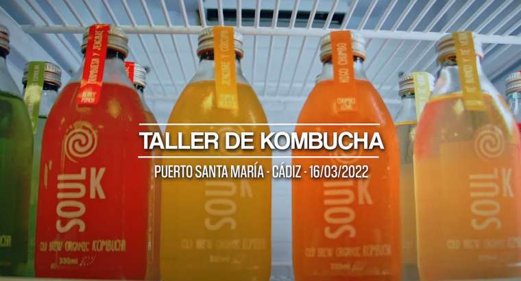 Taller de Kombucha