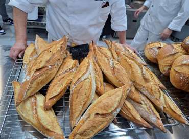 López Aragón en InterSICOP 2024: explorando las últimas tendencias en panadería y pastelería
