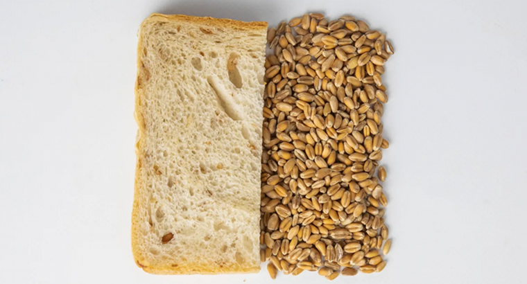 Softgrain Espelta de Puratos: sabor, fibra y diferenciación en cada bocado