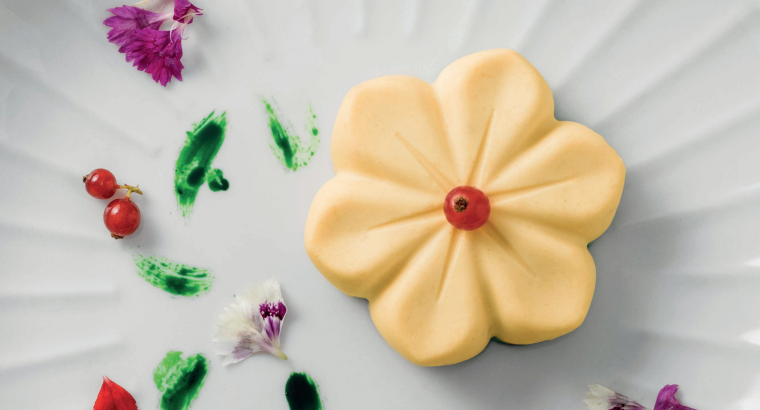 Nata Ken Foods Sin Lactosa: innovación y sabor profesional al alcance de todos